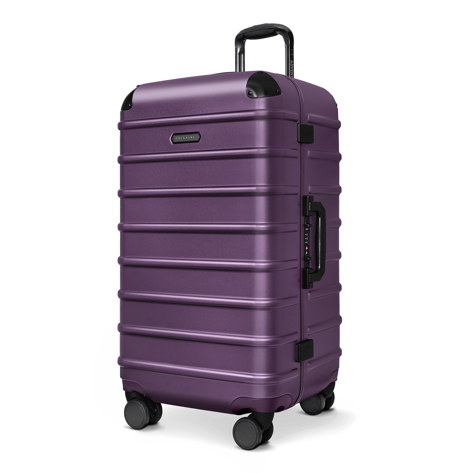 Provence Purple