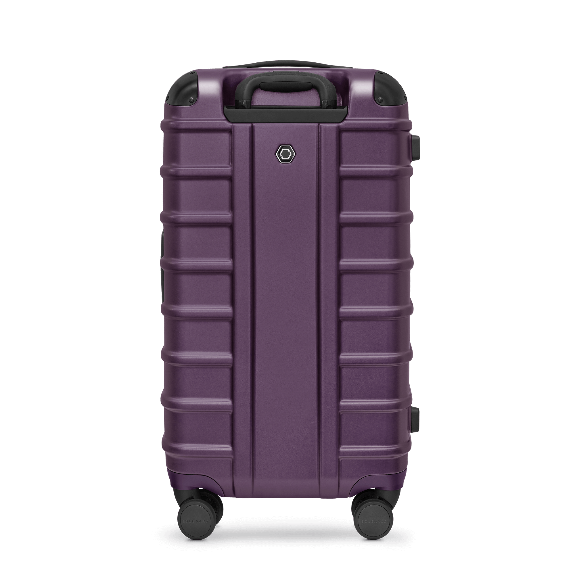 Provence Purple