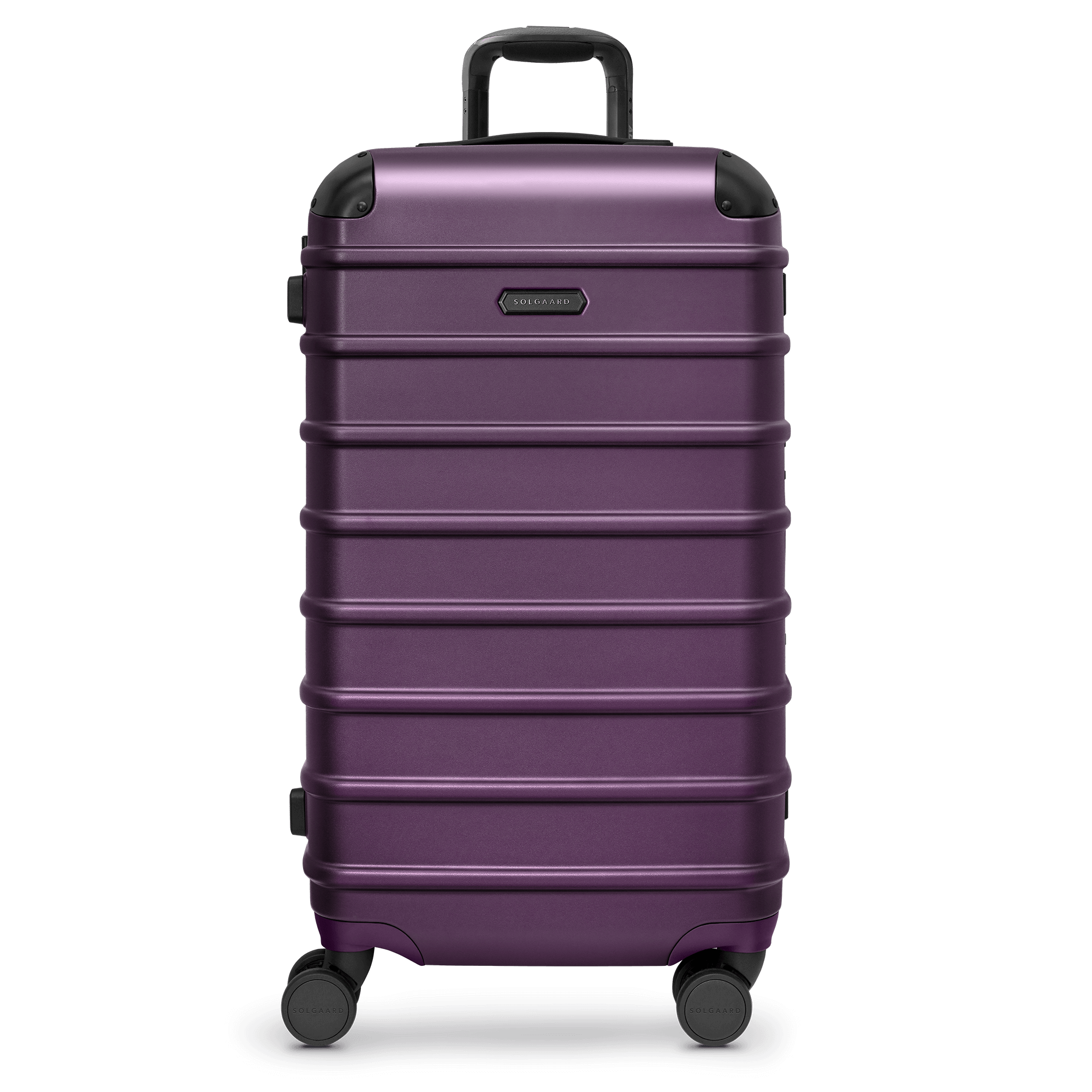 Provence Purple