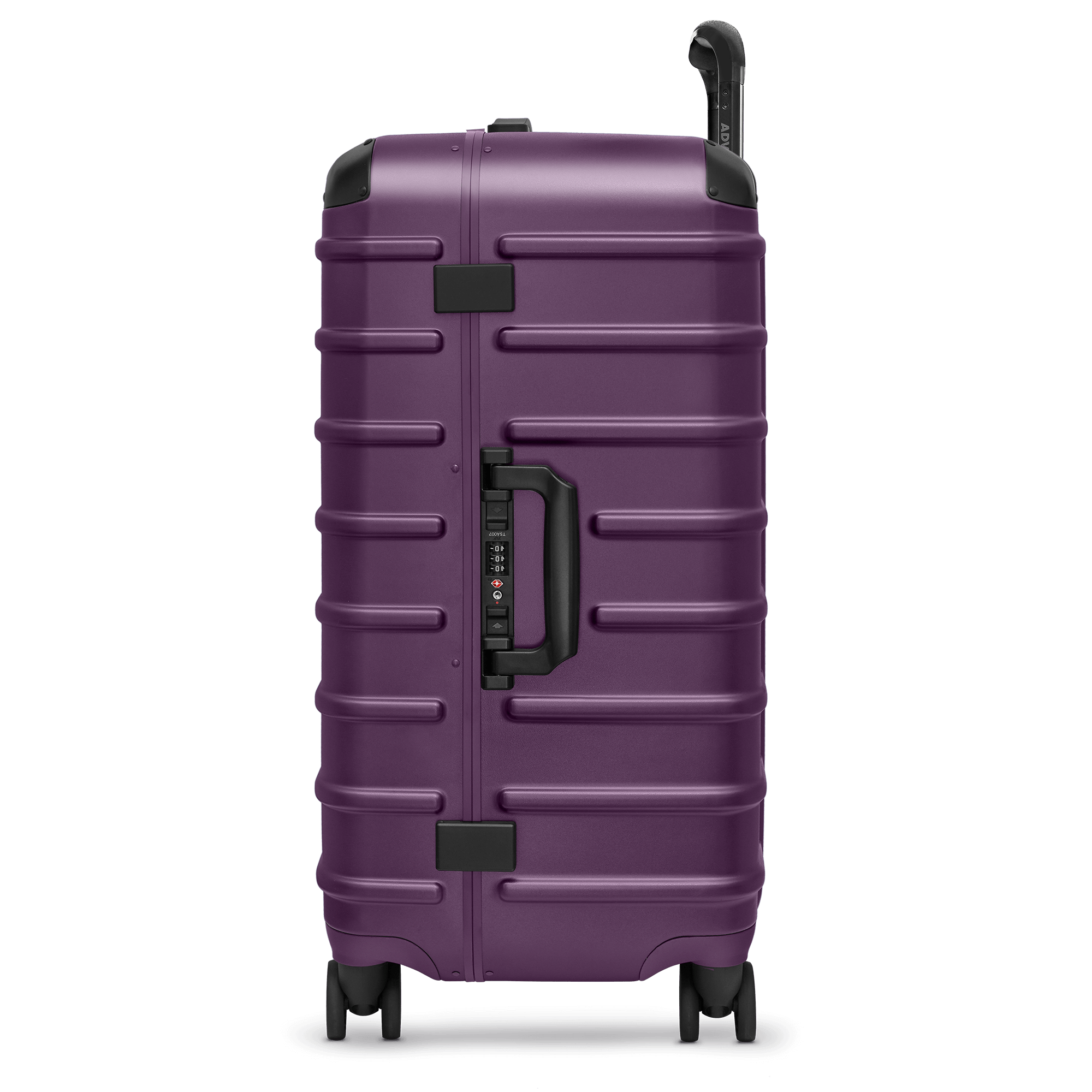 Provence Purple